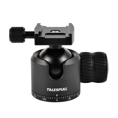 Twilight Arca-Type head