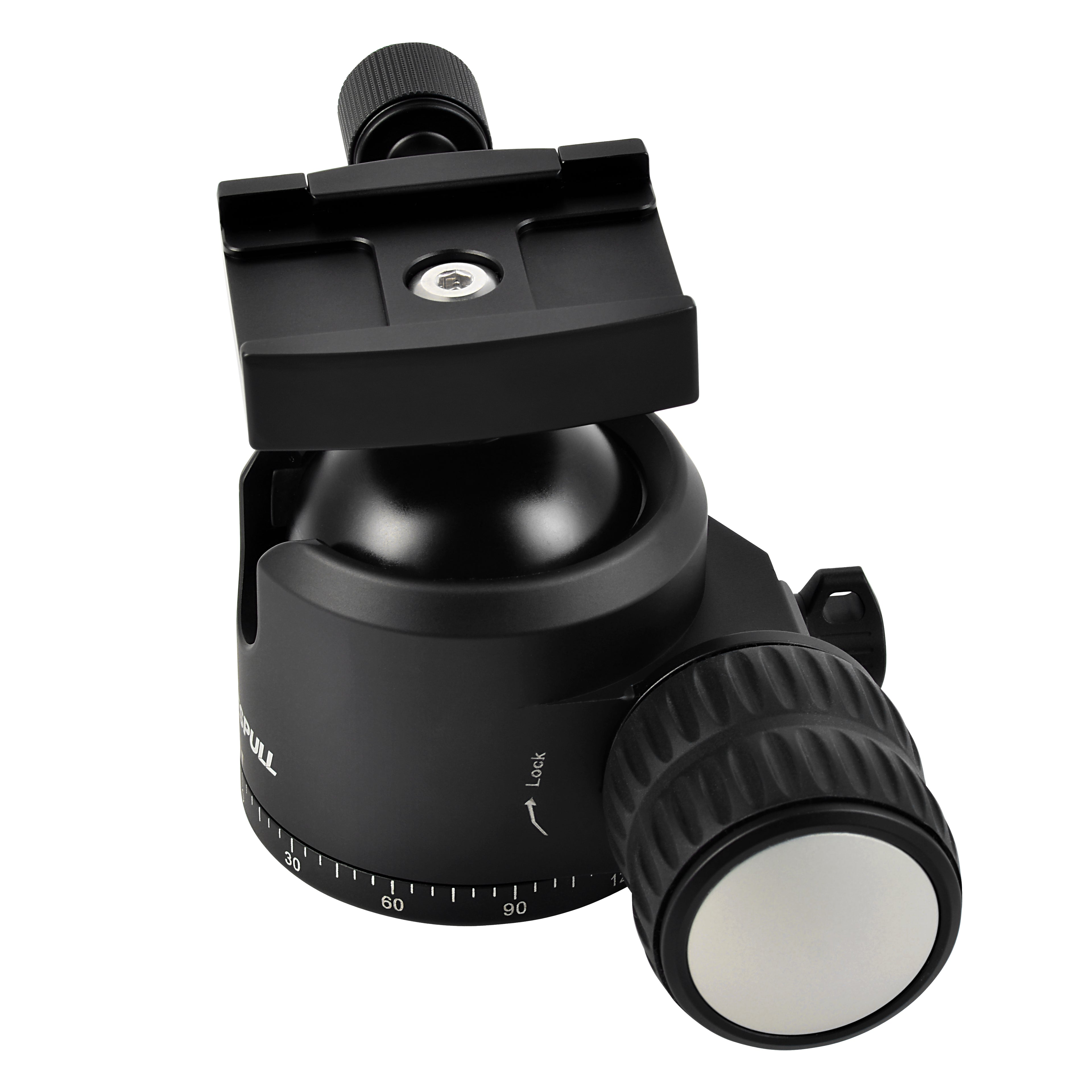 Twilight Arca-Type head