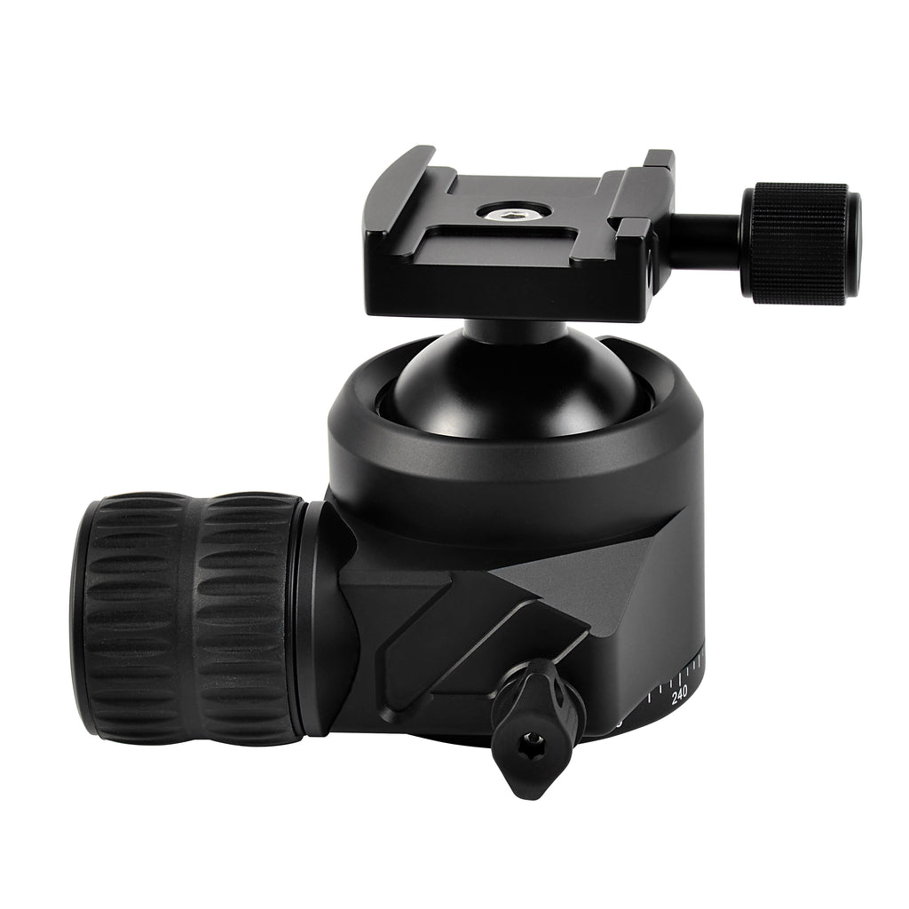 Twilight Arca-Type head