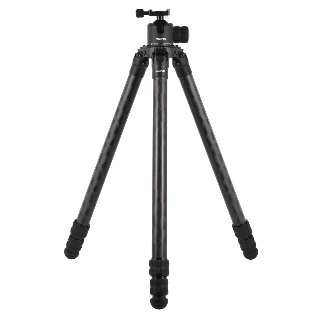 Twilight Arca-Type head